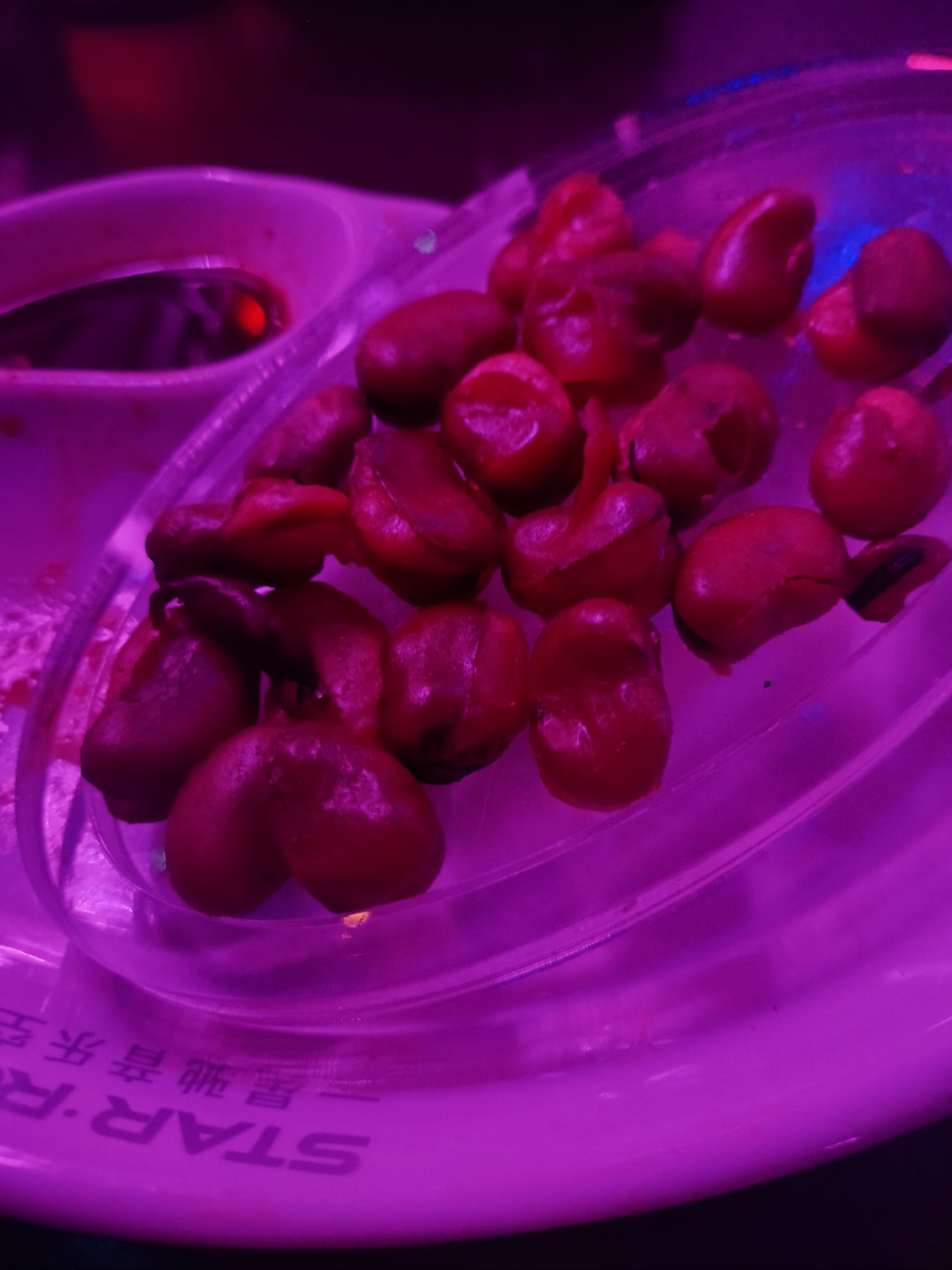 锦州商务KTV哪里好-黑山县ktv预定